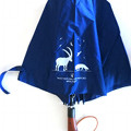 Umbrella of the Gran Paradiso National Park