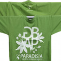 Pistachio green men T-shirt of the Gran Paradiso National Park