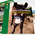 L'asino di Pantelleria (The donkey of Pantelleria)