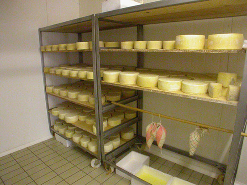 Monti Sibillini Pecorino Cheese