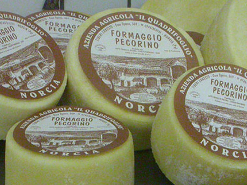 Monti Sibillini Pecorino Cheese