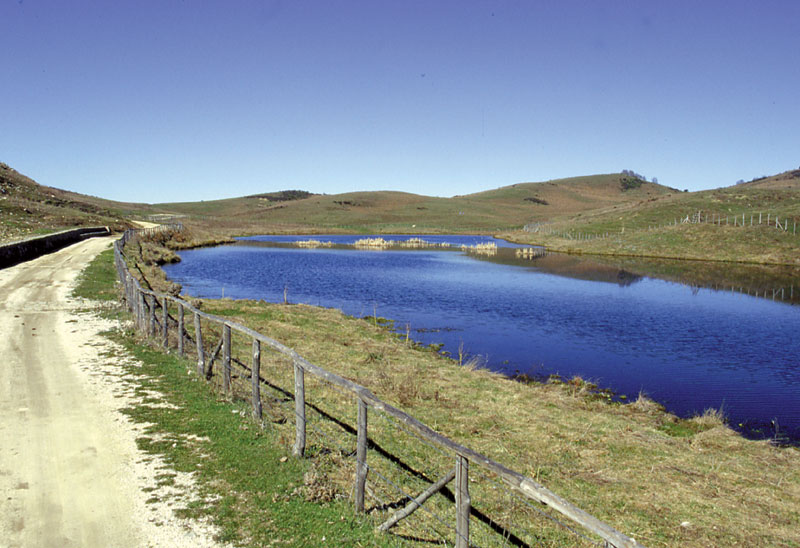 Pisciotto Lake