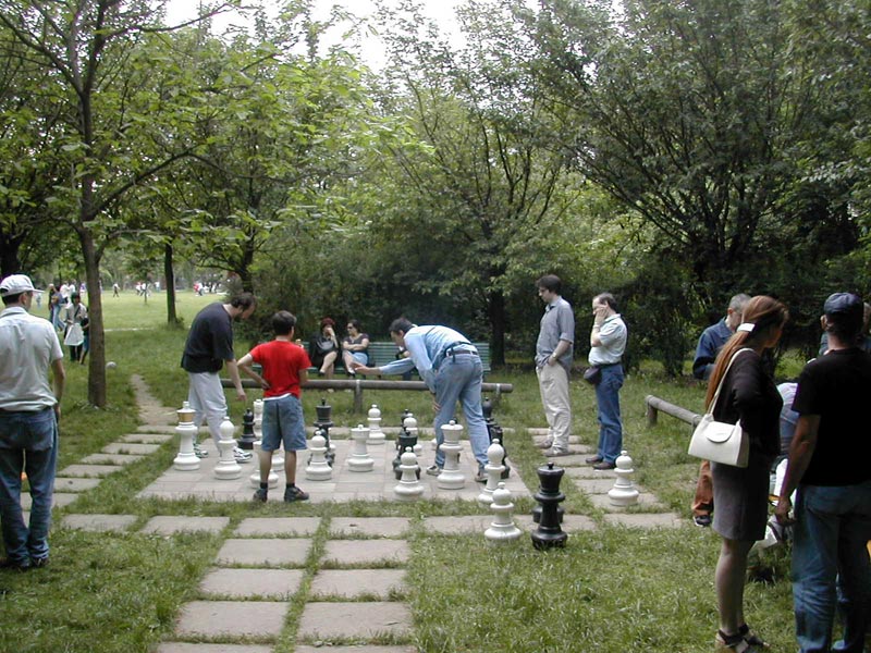 Grüne Schachs im Park