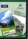Collezione in DVD 