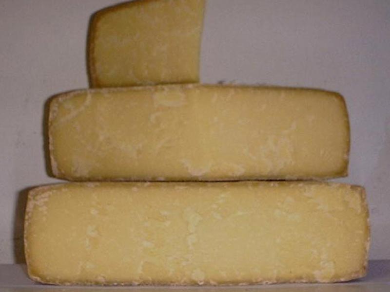 Puzzone Käse aus Moena