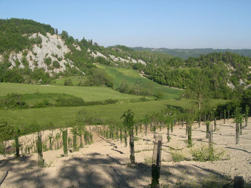 Foto di Dolci colline coltivate e ripidi versanti di nuda roccia