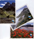 Postkarten des Parco del Po Cuneese