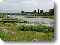 Il ponte-diga del Pascolo, a Torino