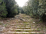 Il "Sentiero dei condannati" sull'isola Palmaria che da località Terrizzo sale al Forte Cavour sulla vetta dell'isola