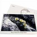 Cartolina del Parco delle Prealpi Giulie - Pulsatilla alpina