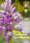 Punti di vista sulle Orchidee Spontanee nel Parco Naturale Regionale Sirente Velino