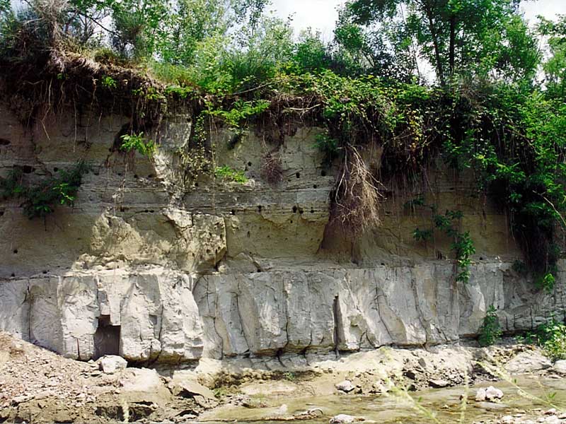 Erosion along the bank