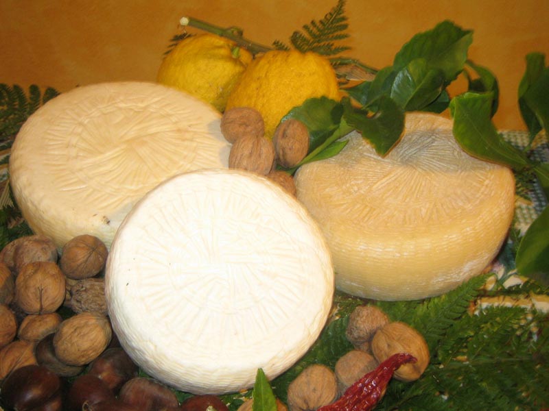 Le fromage Pecorino de Vergato