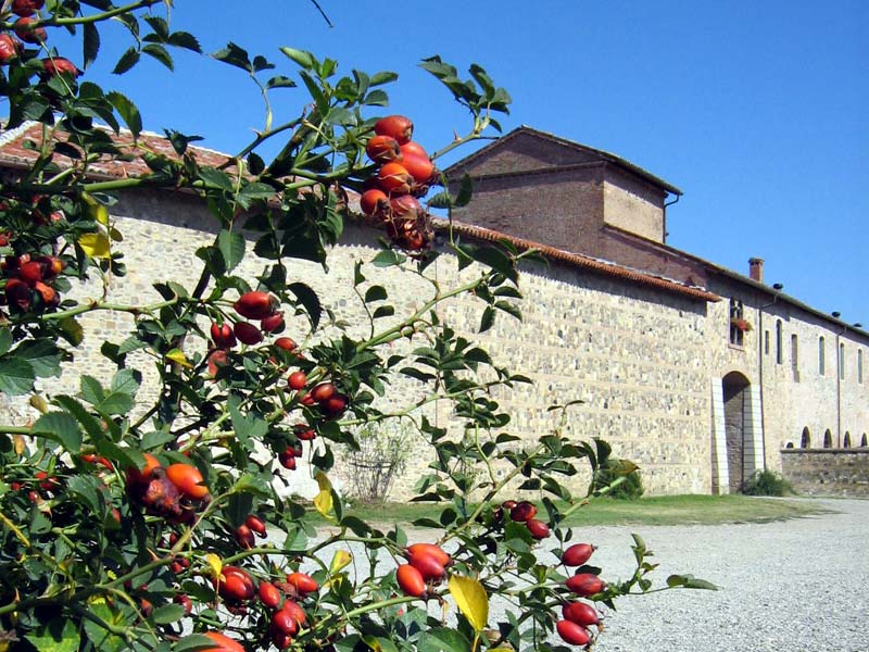The Visitor Center inside Corte di Giarola