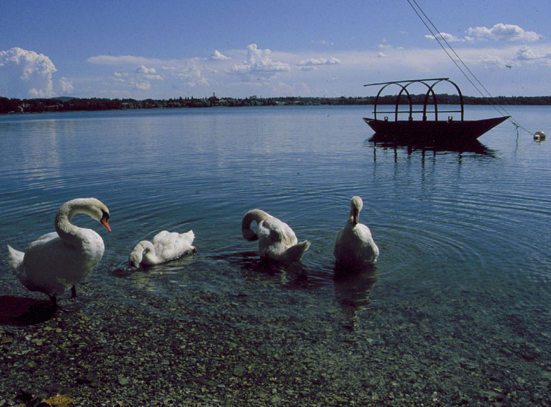 Pusiano Lake