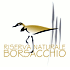 Logo RR Borsacchio