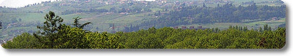 Immagine di apertura Riserva Regionale Bosco della Frattona