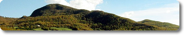 Immagine di apertura Riserva naturale Regionale del Bosco di Montalto