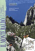 Monte Baldo: Viaggio tra le pendici boscate