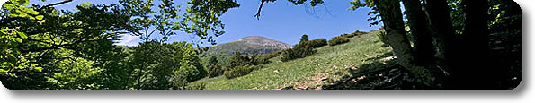 Immagine di apertura Riserva Naturale Regionale Monte Genzana e Alto Gizio