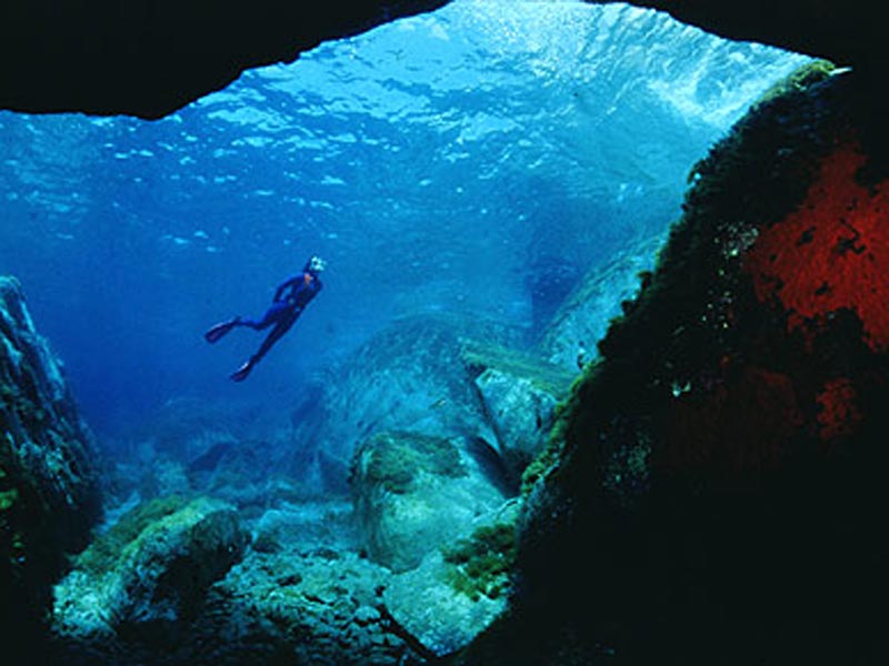 Diving Spots