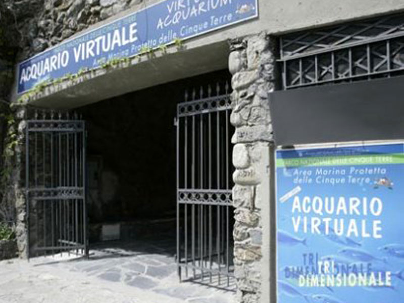 Virtual aquarium