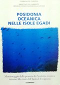 Posidonia Oceanica nelle Isole Egadi