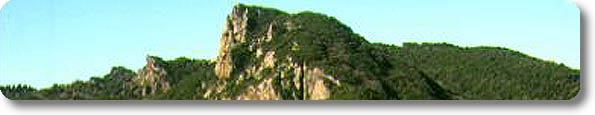 Immagine di apertura Riserva Naturale Provinciale Foresta di Monterufoli - Caselli