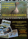 1° Concorso Fotografico online "Valle Cavanata"