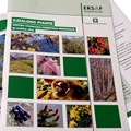 Catalogo Piante del Centro Vivaistico Forestale Regionale di Curno (BG)