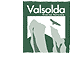 Logo RR Valsolda