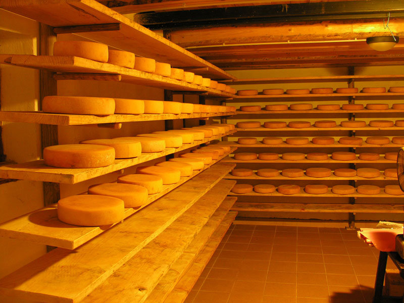 Malga Vette Grandi - cheese maturation