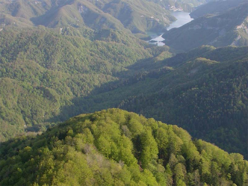 Rundweg 7. Der tausendjährige Wald von Camaldoli