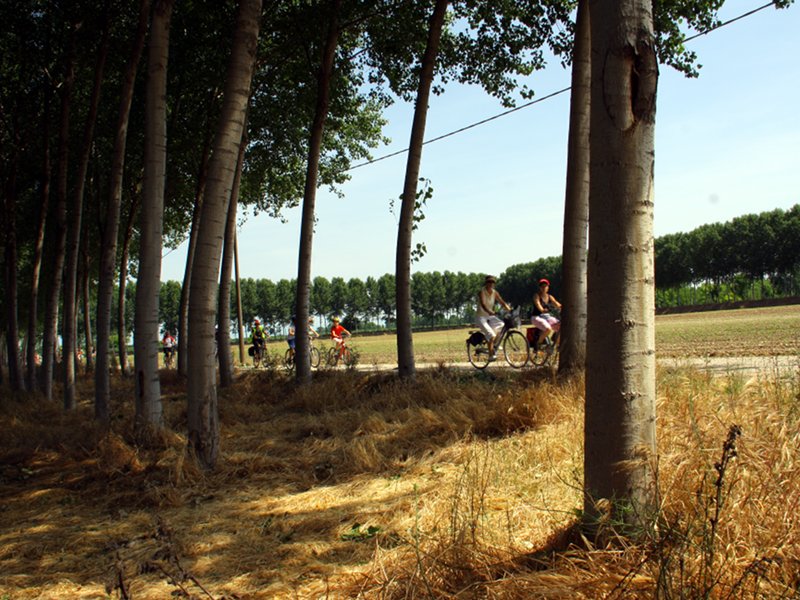 In bici nel parco