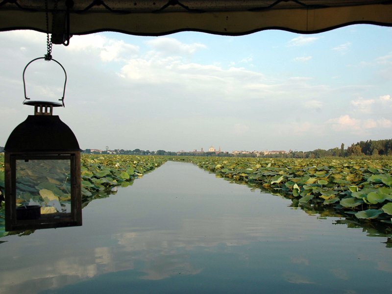 Mantua. Sailing on the Upper lake among the lotus flowers