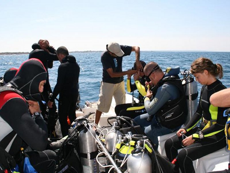 Diving activities and Courses