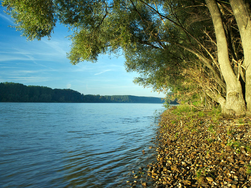 Sponda del Danubio a Kovacs