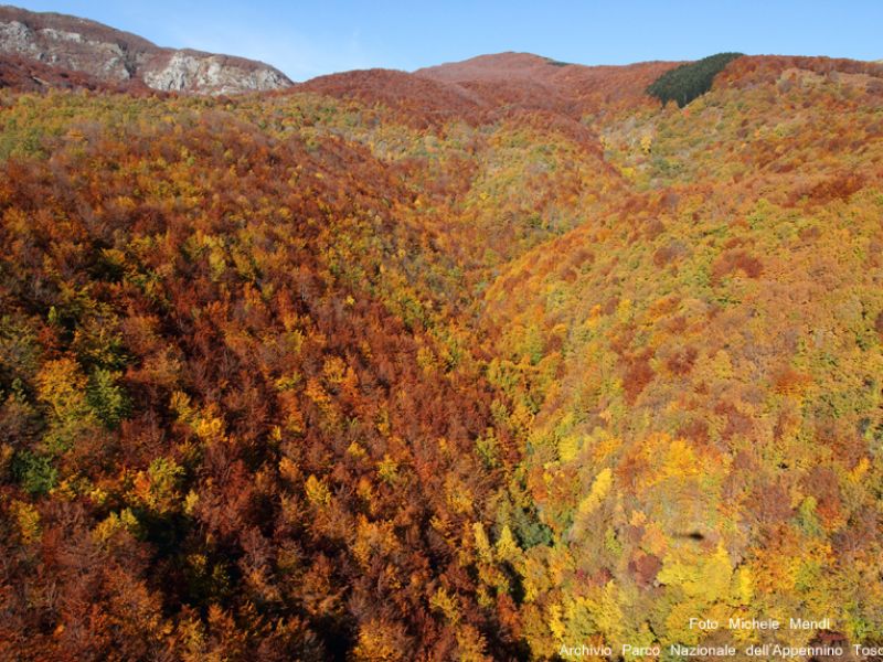In pieno autunno, alcune zone del Parco Nazionale, assumono colori e tonalità di una bellezza mozzafiato