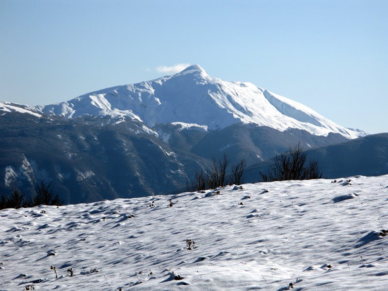 Panorama dall'itinerario: Vista Monte Cusna