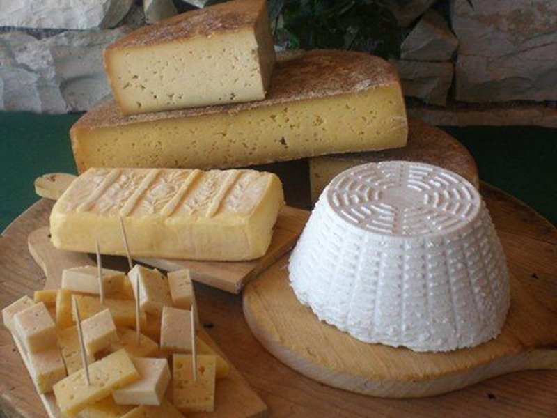 Fromage d'alpage Bellunese