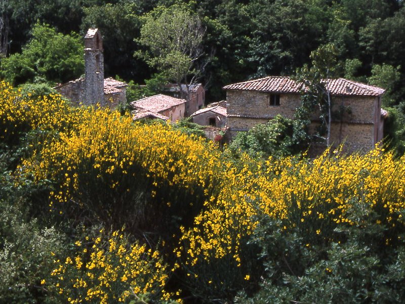 Dorf von San Pietro Acquaeortus - Gemeinde von Allerona