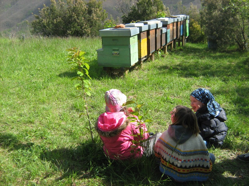 Visit to the didactic apiary