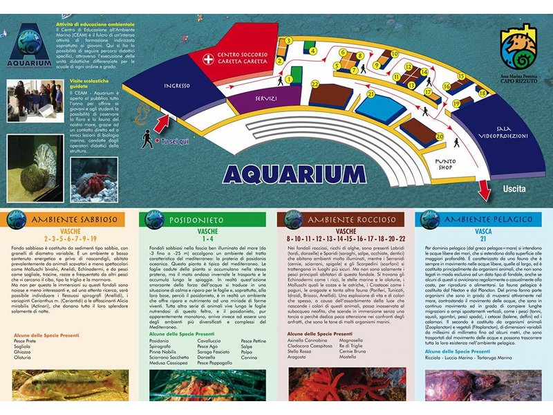 Guida aquarium