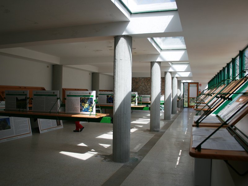 Museo delle Piante trevi nel Lazio