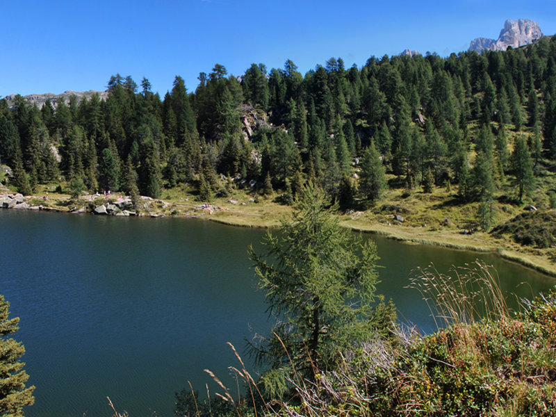 Passo Rolle - Colbricon Lakes - Forcella Ceremana