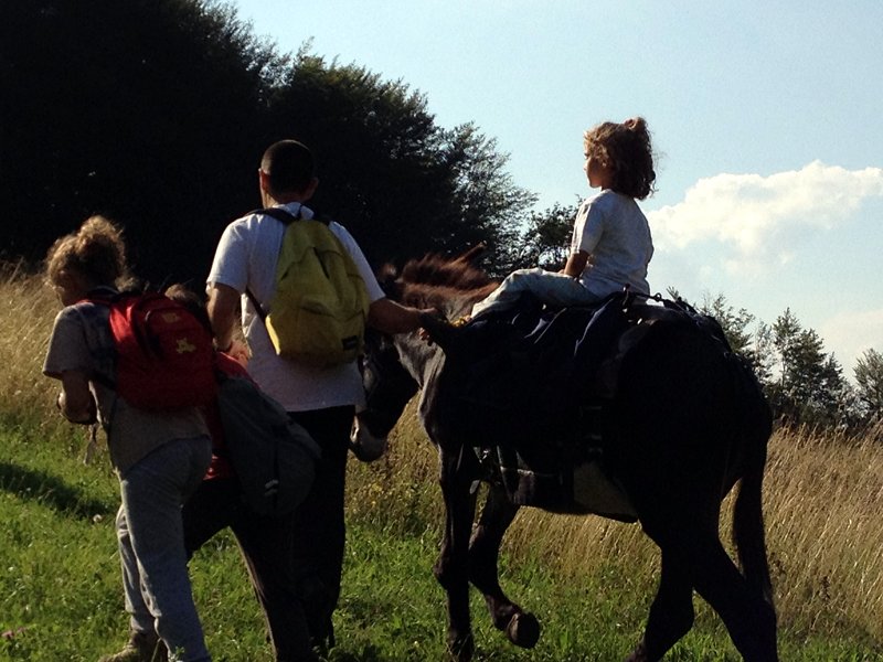 Hike with donkeys