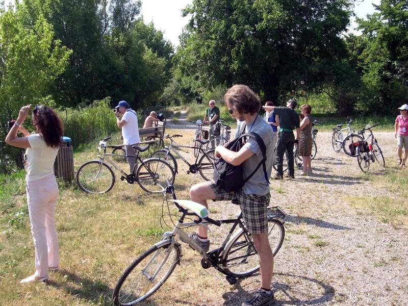 Itinerario in bici nel Parco del Mincio
