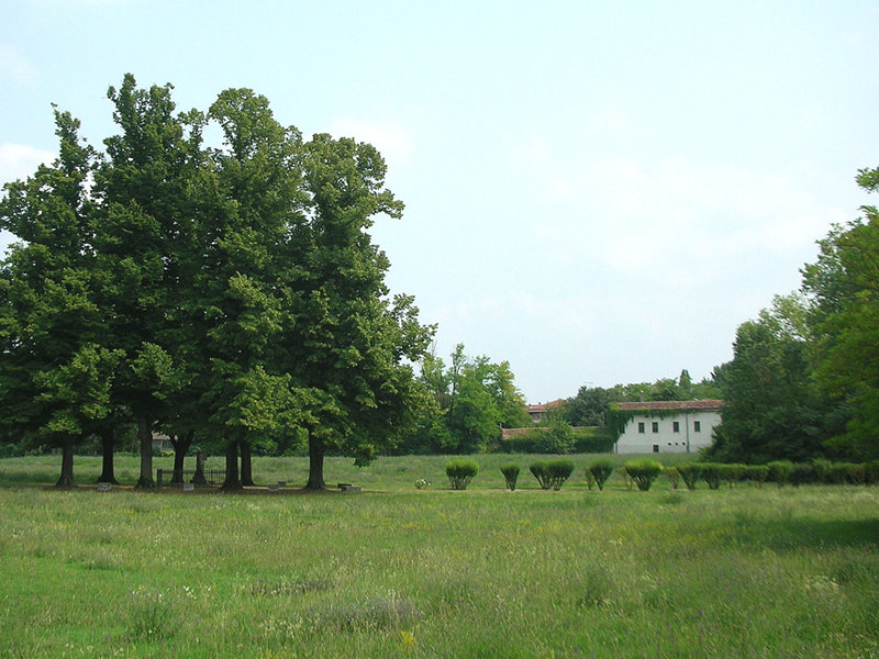 (19223)Monument dedicated to Pietro Fortunato Calvi, view of the surrounding garden