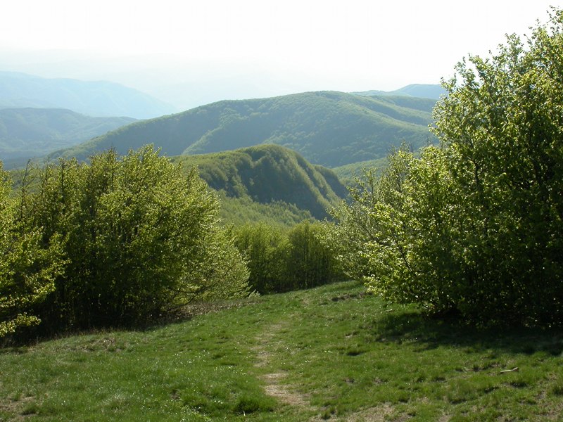 Ring-route 5. Falterona and Campigna Forest