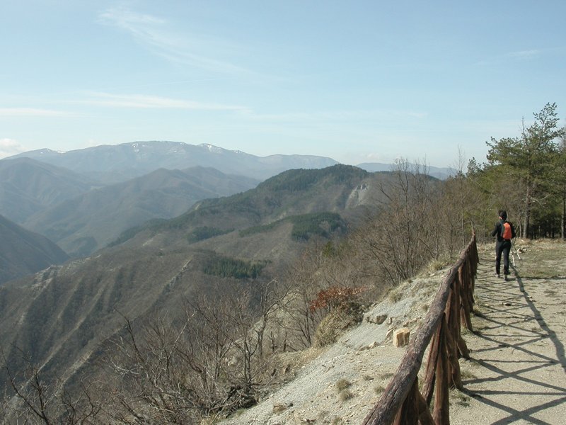 Il crinale marnoso-arenaceo su cui si arrampica il sentiero per M.te Gemelli